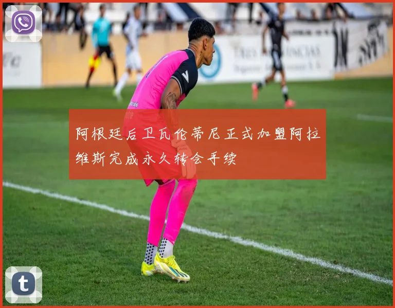 阿根廷后卫瓦伦蒂尼正式加盟阿拉维斯完成永久转会手续