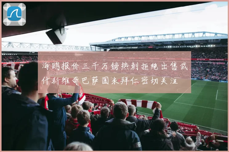 海鸥报价三千万镑热刺拒绝出售武什科维奇巴萨国米拜仁密切关注
