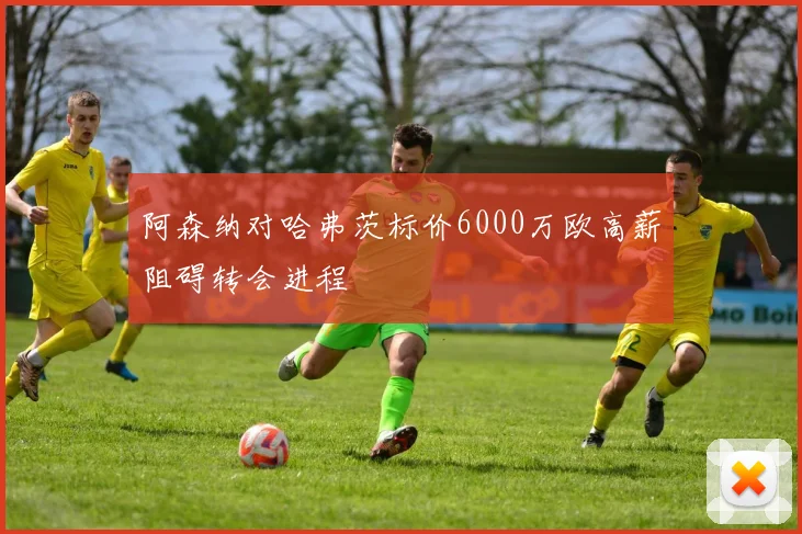 阿森纳对哈弗茨标价6000万欧高薪阻碍转会进程
